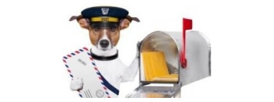 DNA Test Hund - Senden Sie das Probenset für Ihre Rassebestimmung einfach per Post retour 